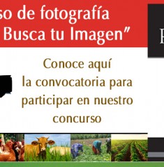bannerrural