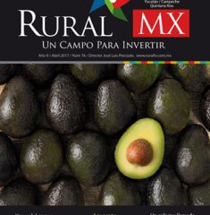 Portada_Rural_Web_RY
