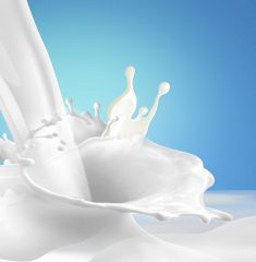 lait