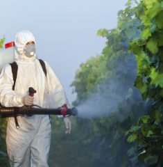 Vineyard Spraying