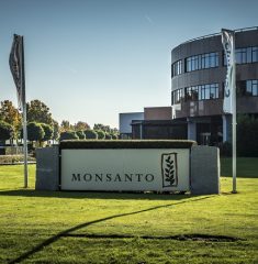 monsanto_shutterstock_499168195