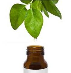 teatree