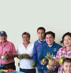 IMAGEN1