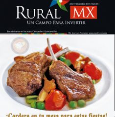 Portada_Rural_Web_RMX