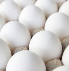 huevos-yoreme