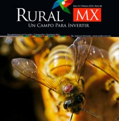 Portada_Rural_Web_RMX