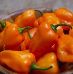 habaneronaranjacompleto