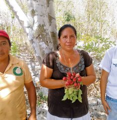 IMAGEN1