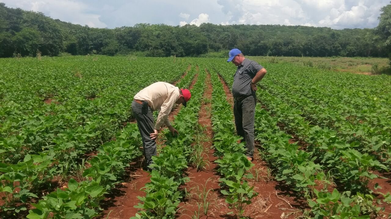 Producci N Agropecuaria Y Pesquera En Campeche Ruraltv