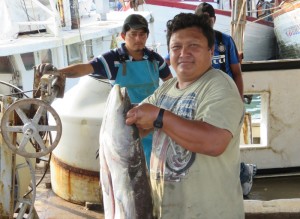 Un pescador progreseño muestra un esmedregal de 15 kilos que fue capturado en el primer viaje de la flota mayor para la pesca de mero / Diario de Yucatán