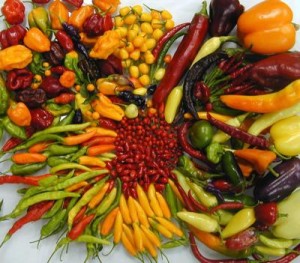 chiles (1)