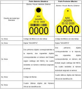 sagarpa4a11_Cimg_34431