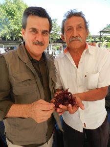 Don Abelardo Balam Chi quien cultiva plantas, produce miel y tiene una gran cantidad de árboles (Izquierda José Luis Preciado)