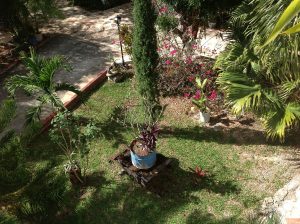 image (2)