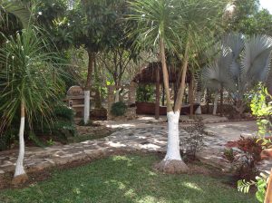 image (4)